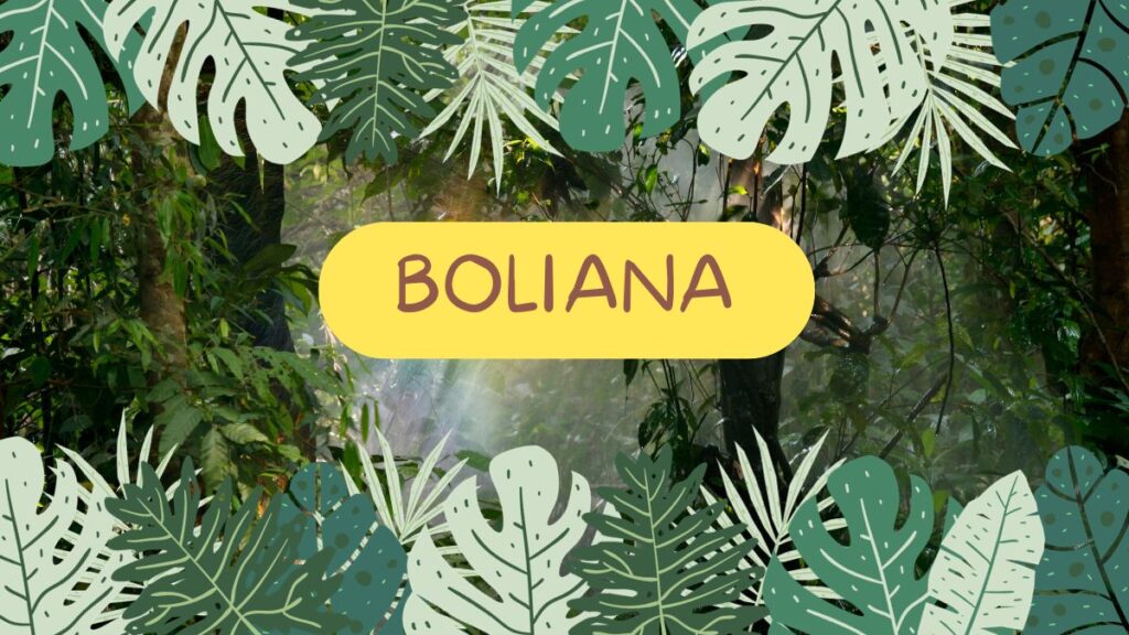 boliana