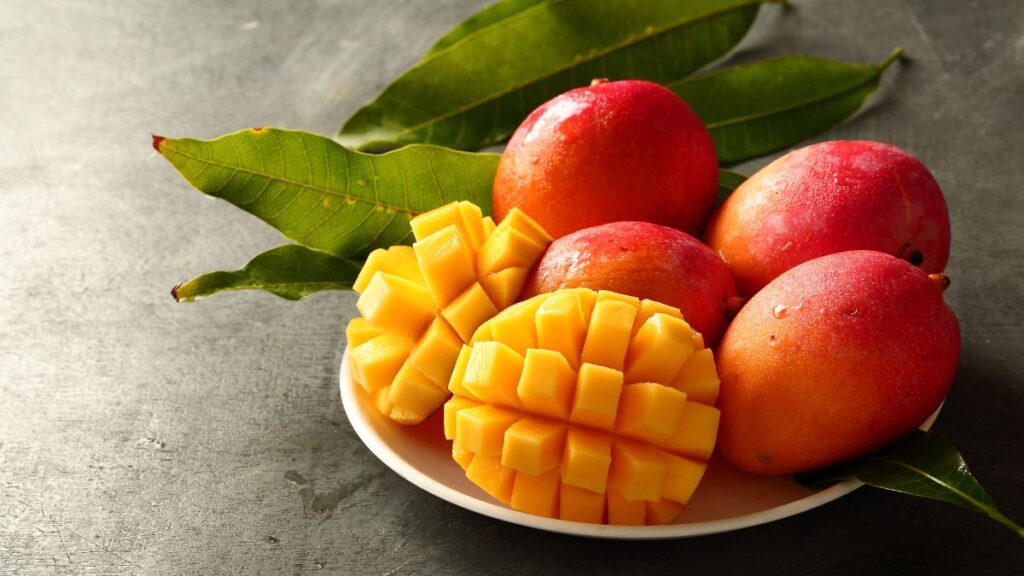 Alphonso Mango