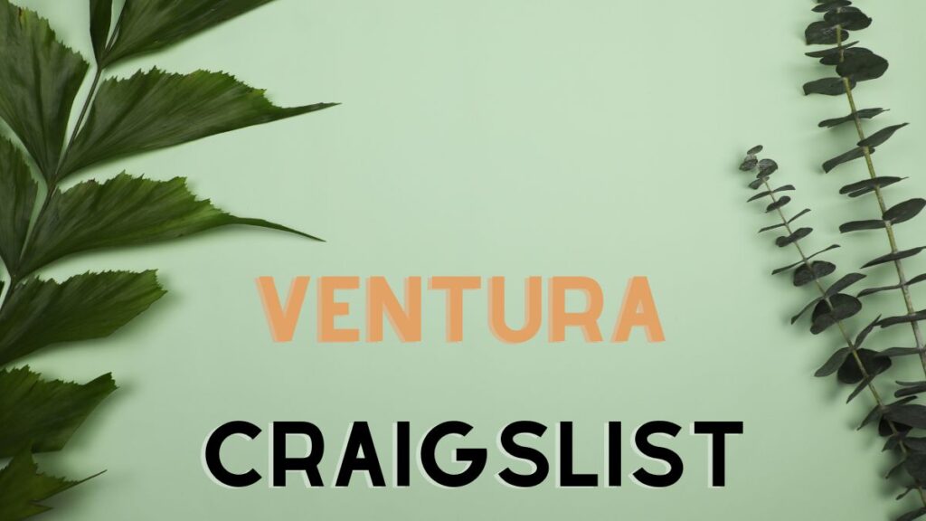 ventura craigslist