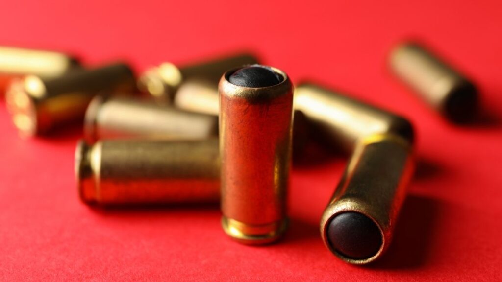 gun rubber bullet