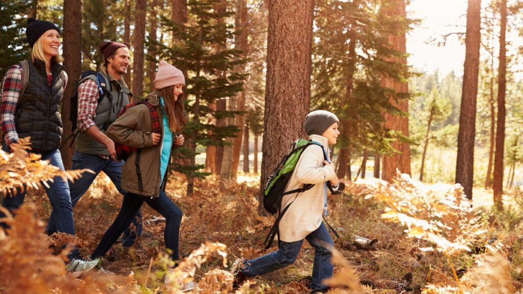 fall family photos