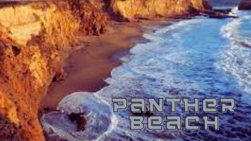 panther beach