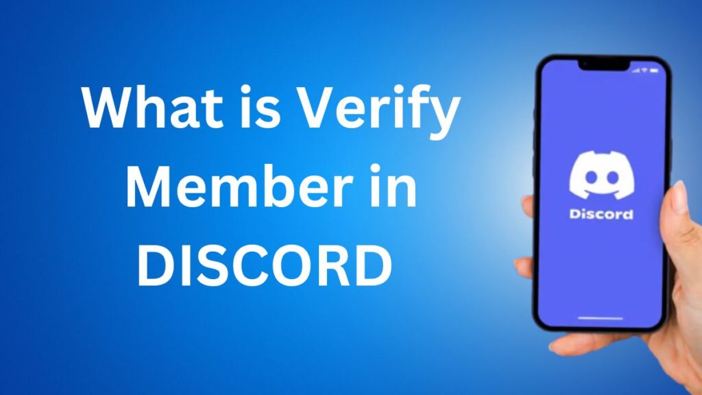 what is verify member in discord