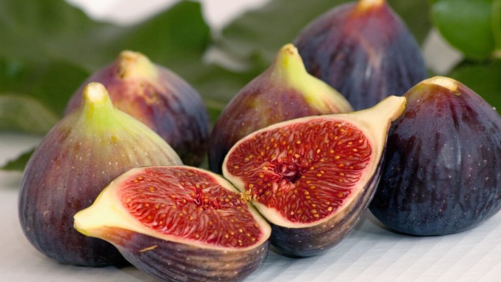 friday fig