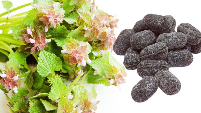 Horehound candy