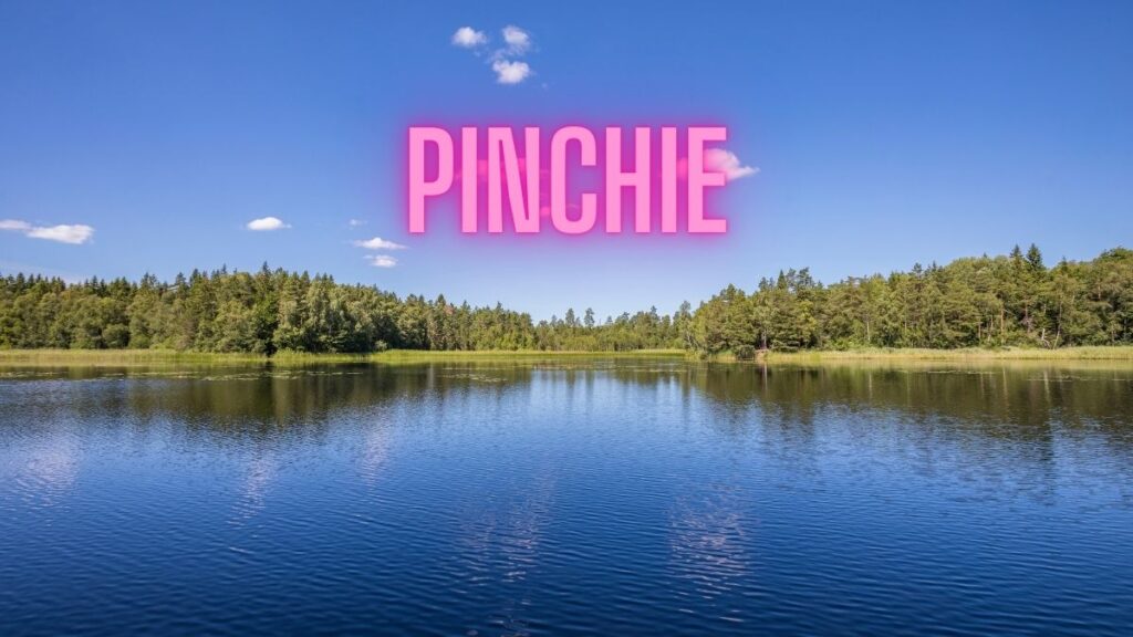 pinchie