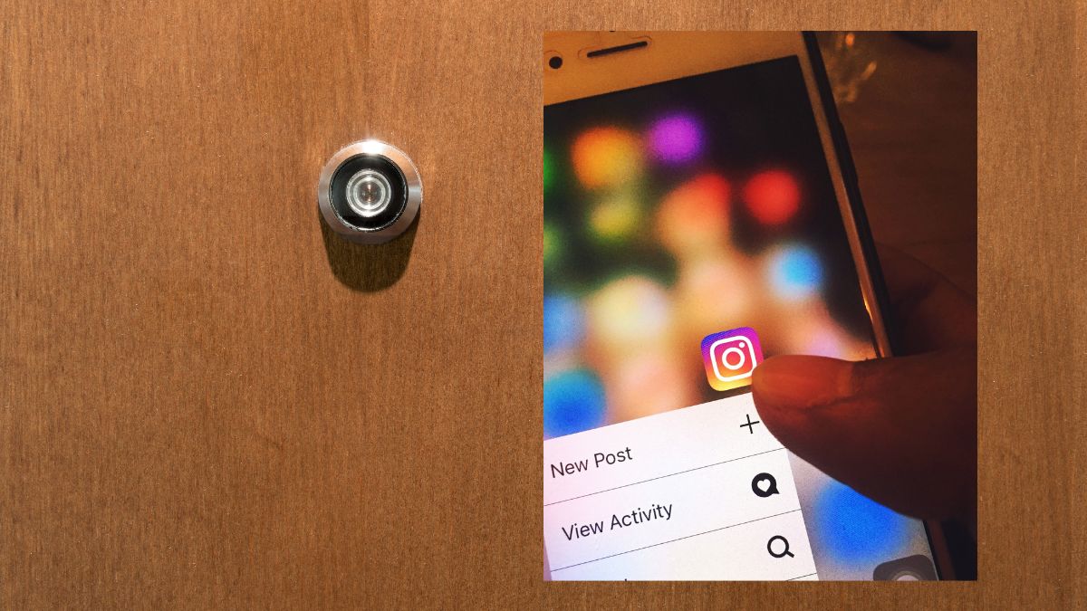 Dumpor An Instagram Account Analyzer And Viewer
