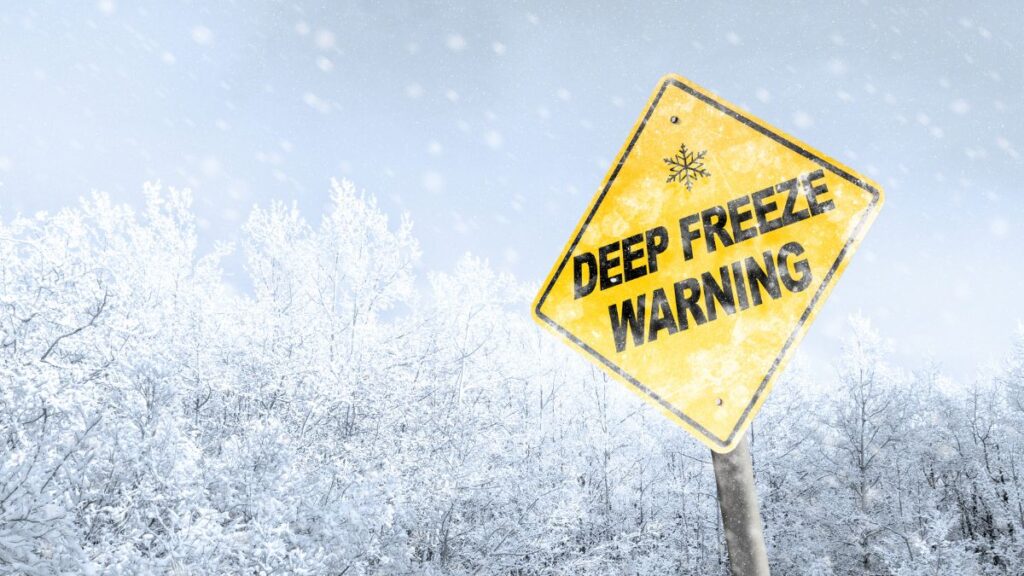 Freeze Warnings