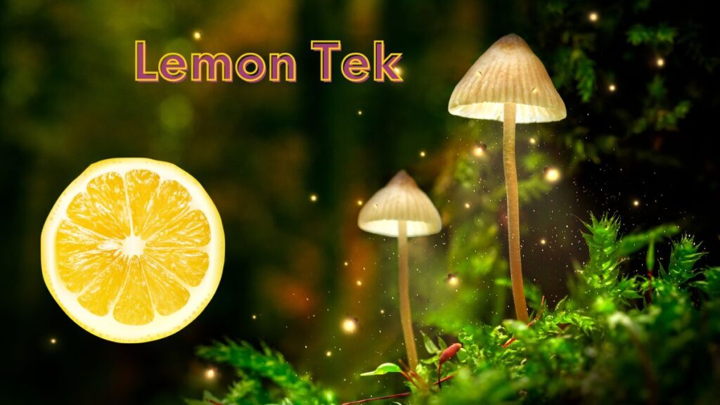 Lemon Tek