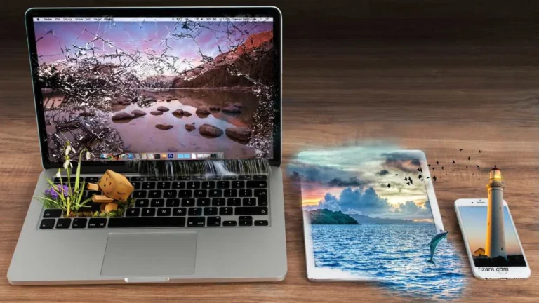 3D Animation
