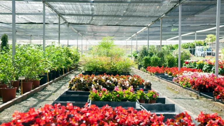 Garden Centers