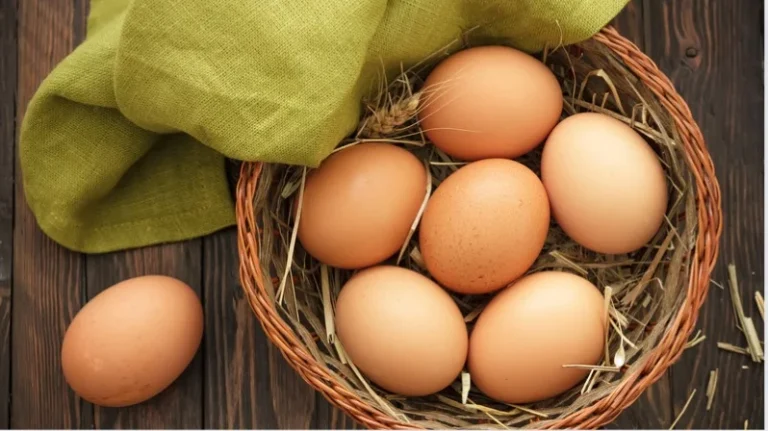 Eggene