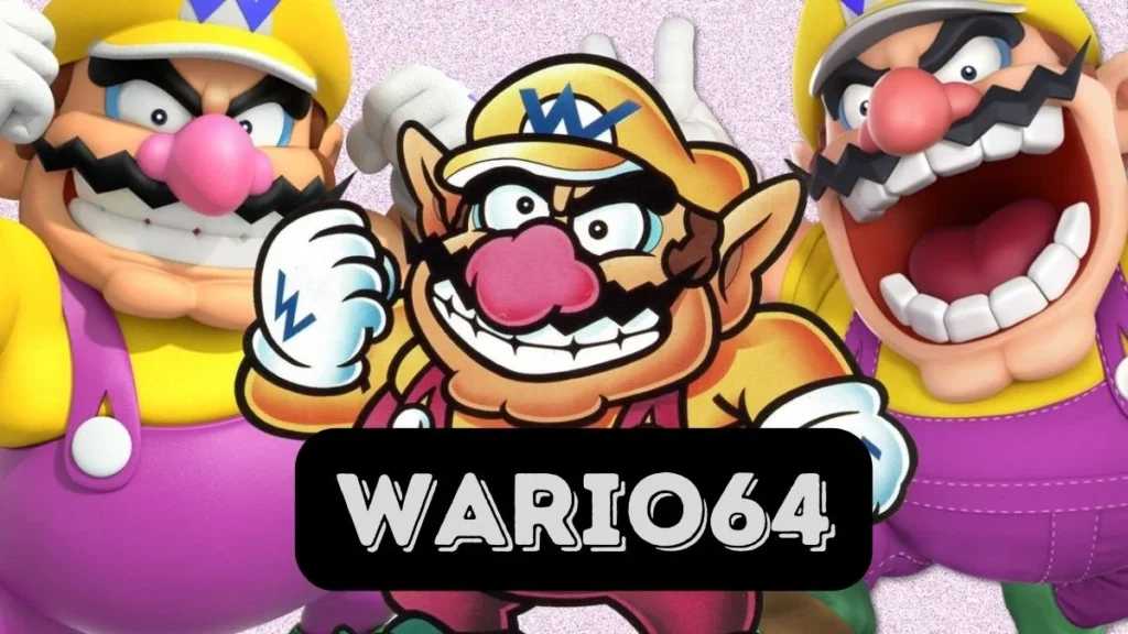 Wario64