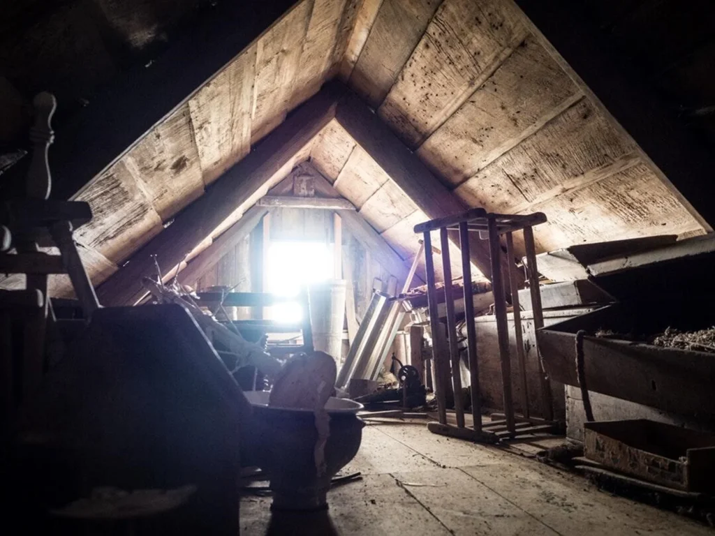 attic mold remediation