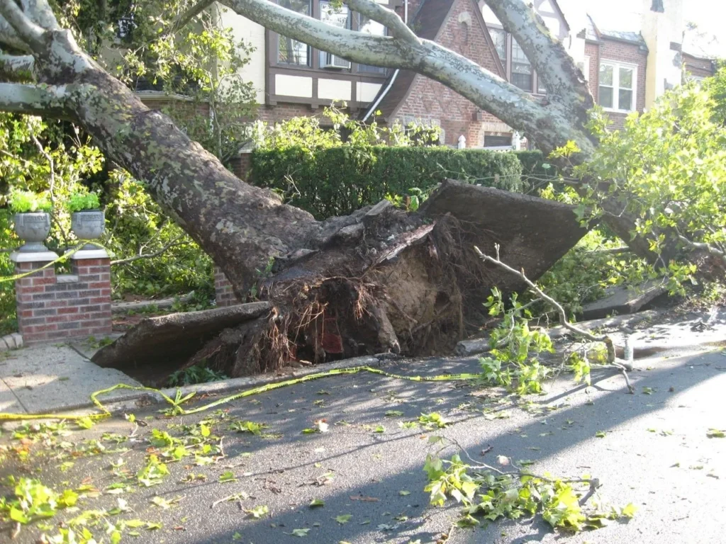 commercial storm damage