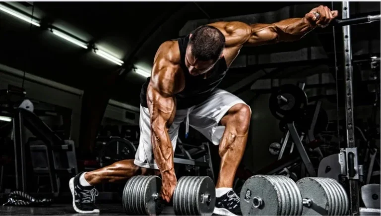 wellhealth how to build muscle tag
