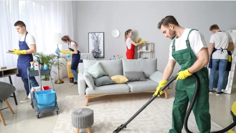 Cleaning Company