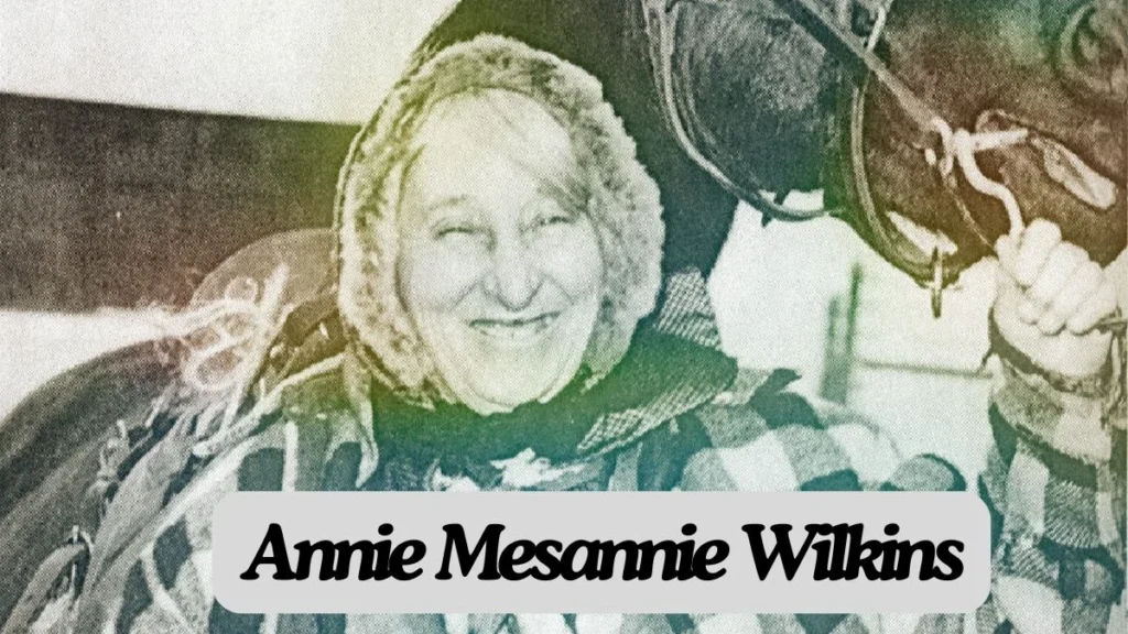 Annie Mesannie Wilkins