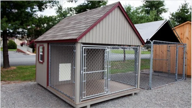 Outdoor Dog Kennel