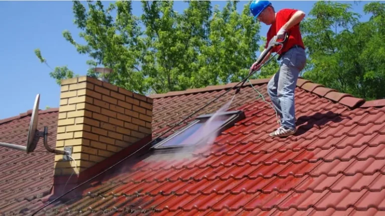Roof Washing