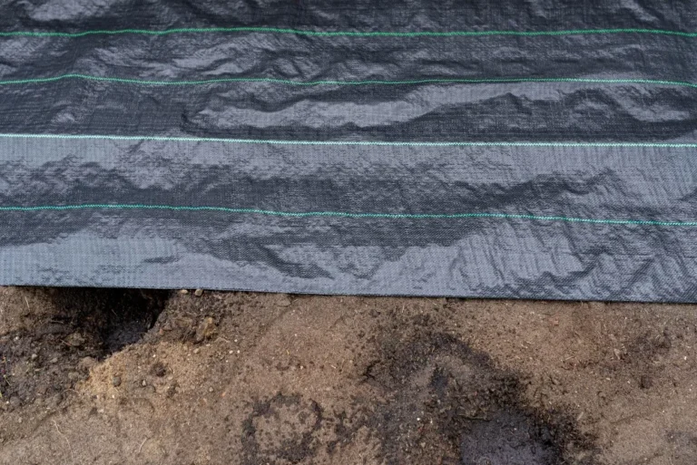 Geomembrane