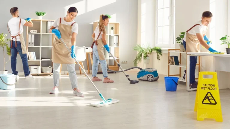Seasonal Cleaning