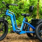 Electric Trike