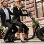 Puckipuppy Electric Bike