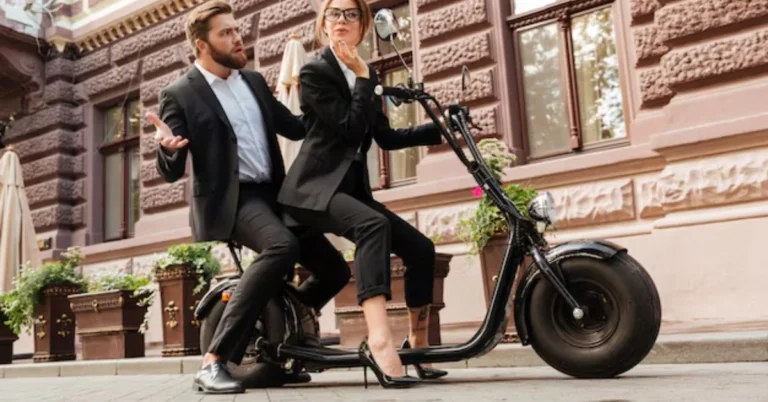 Puckipuppy Electric Bike