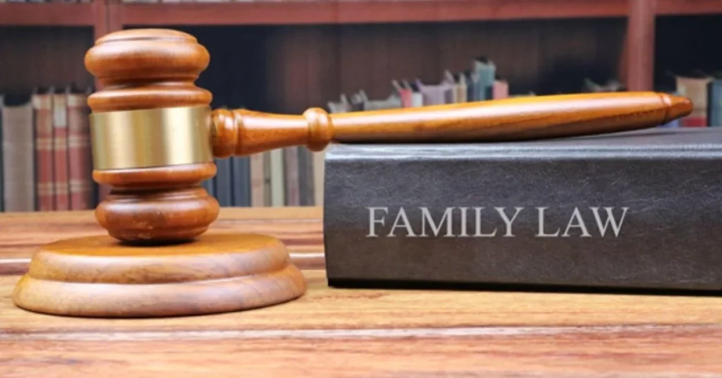 Family Law Consultation