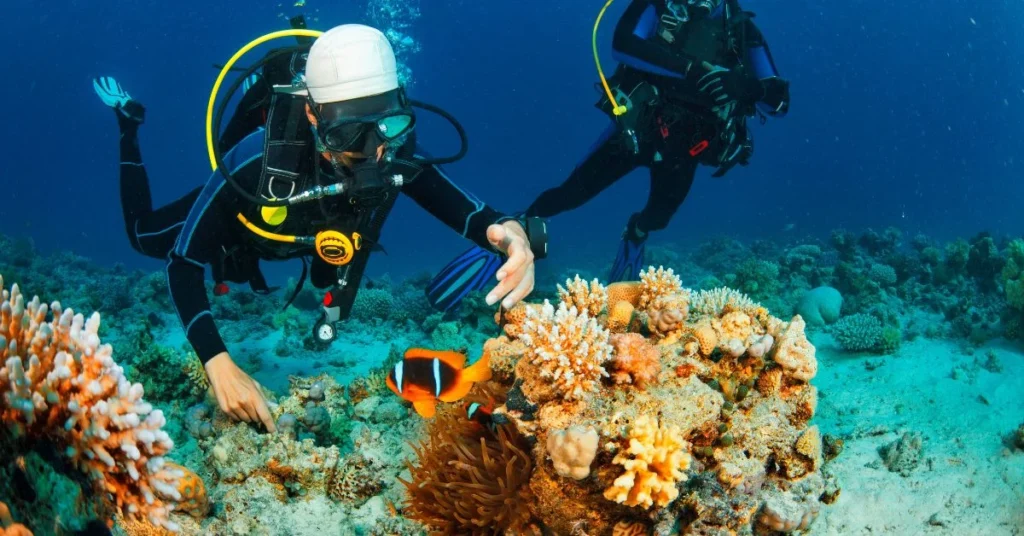 Scuba Diving Charter