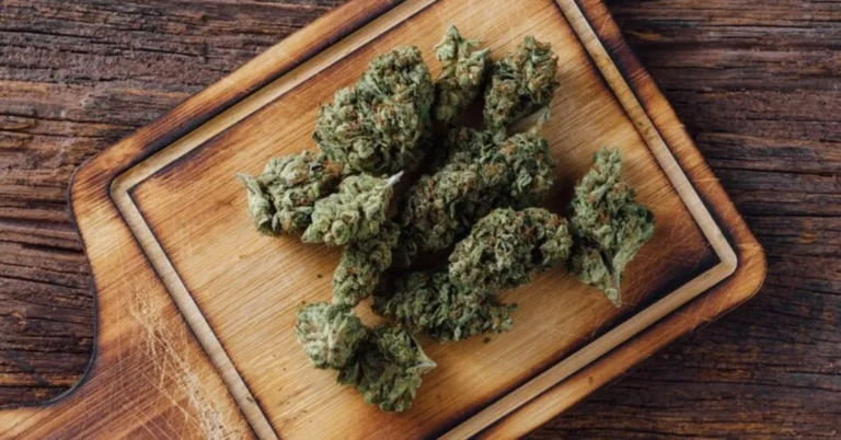 Gush Mints Strain
