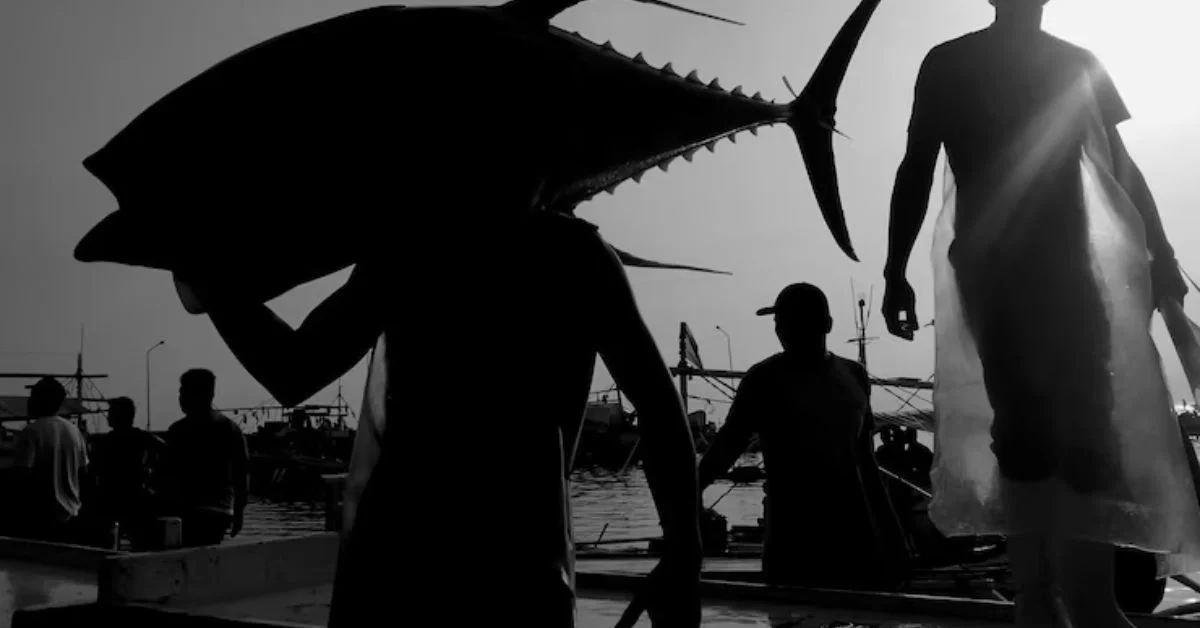 swords fishing can remain a vibrant pursuit for generations to come.
