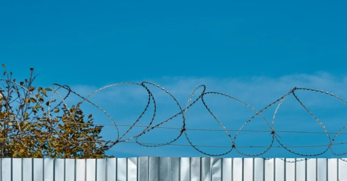 Concertina fencing wire, often referred to simply as "concertina wire," is a type of barbed or razor wire formed in large coils that can be expanded like a concertina (hence the name).
