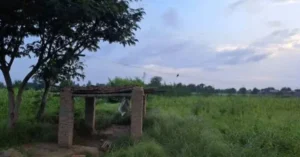 The name "Theekariya" is shared by several villages in India, but it is predominantly associated with rural areas in Rajasthan and Haryana.