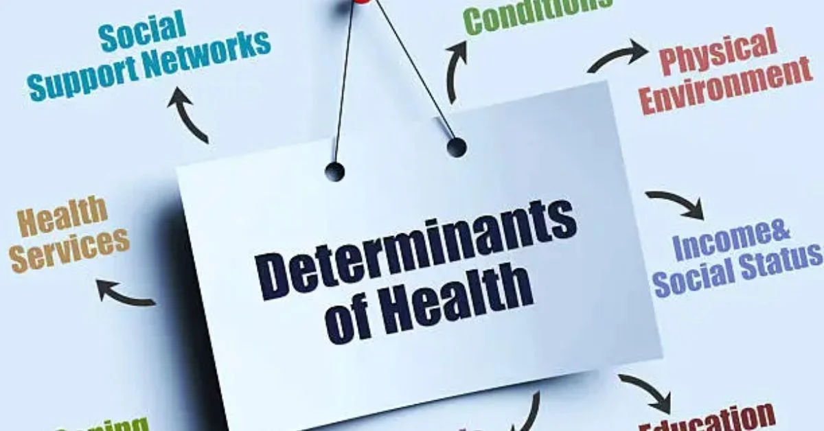 The acronym DGH A may not immediately reveal its nature to the general public, yet it carries substantial importance in specific domains where administration,